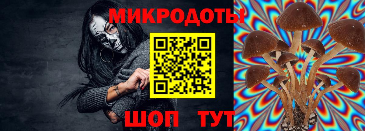 Галлюциногенные грибы мухоморы Алушта